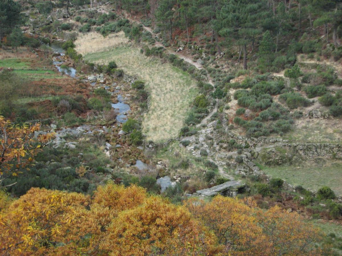 סאבוגיירו Sambuc'Asa - Serra Da Estrela מראה חיצוני תמונה